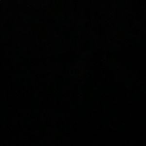 Meet your Posher, Shawn